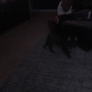 Meet your Posher, Sonya